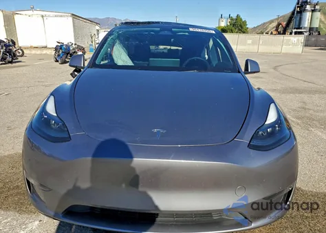2024 Tesla Model Y из США, поврежденный, VIN 7SAYGDEE0RF209573